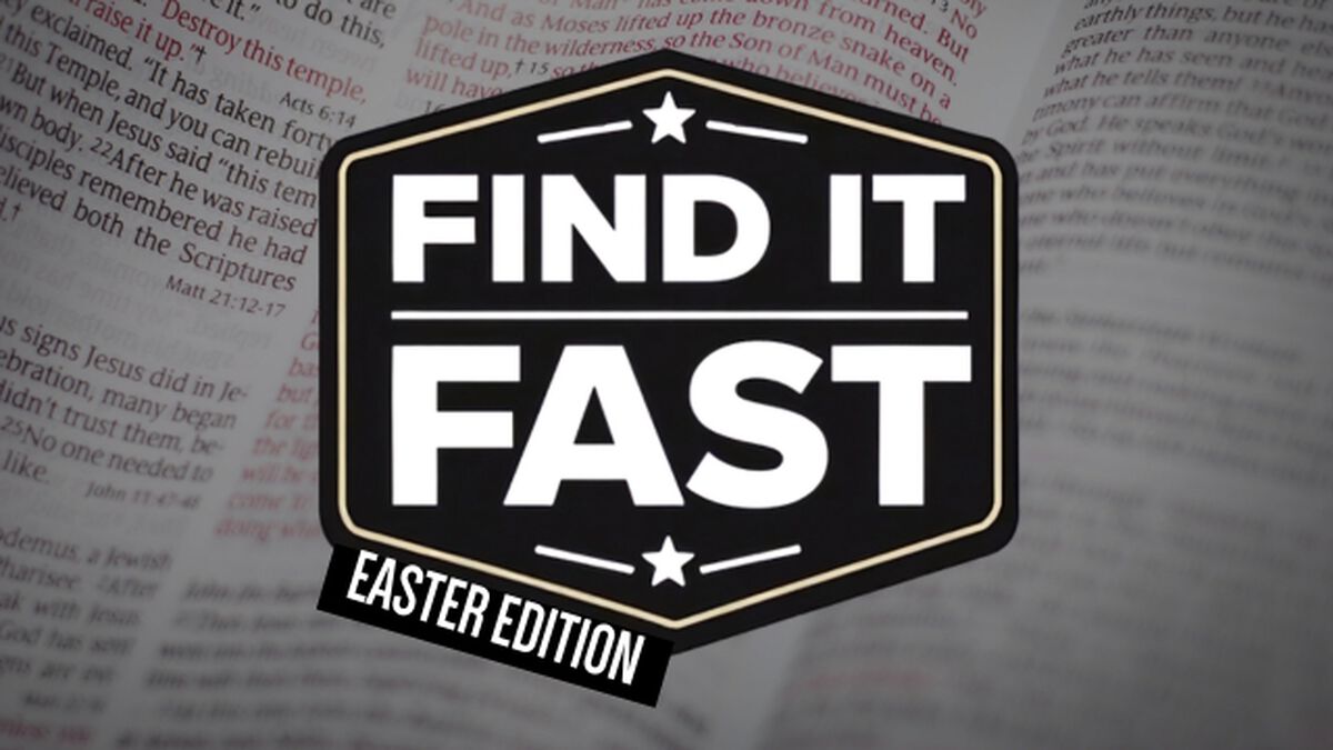 Find It Fast Easter Edition image number null